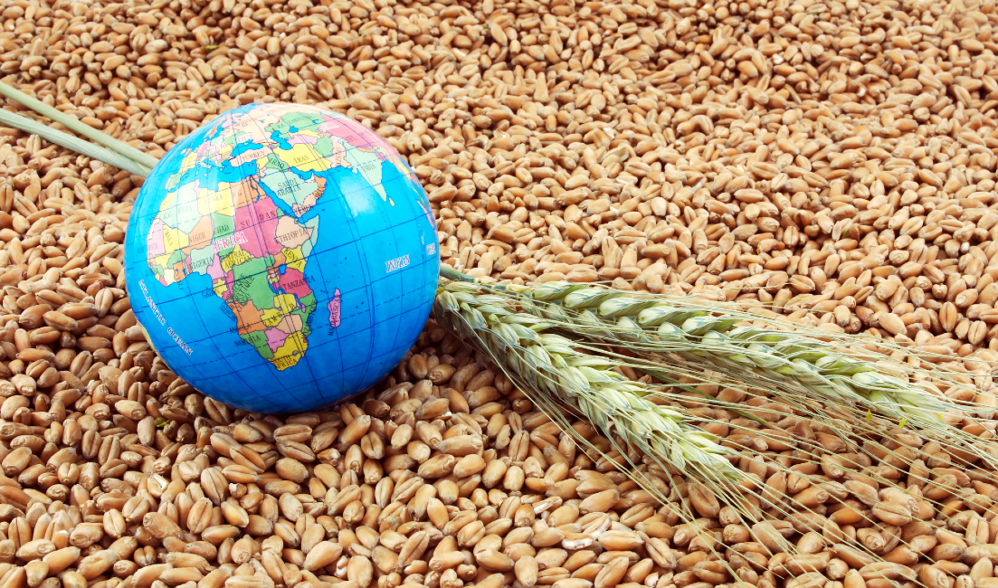 What Is Global Food Inequality